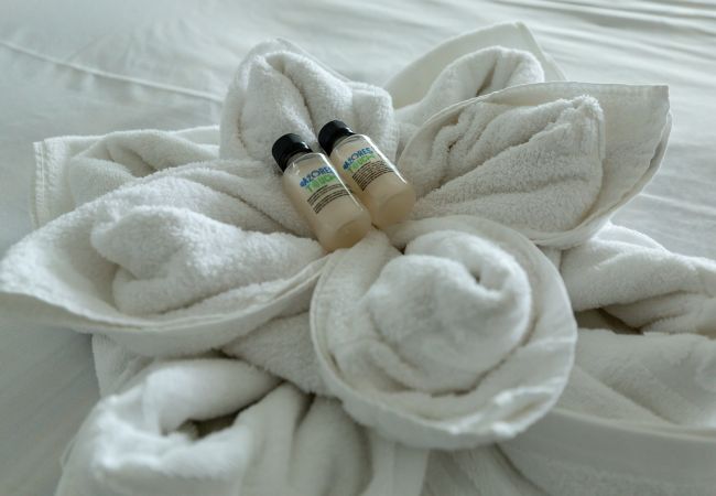 Apartamento em São Mateus da Calheta - Quinta do Mar - Watch The Sun Rise Over The Ocean Apartamento em São Mateus da Calheta - Quinta do Mar - Watch The Sun Rise Over The Ocean