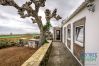 Casa em São Mateus da Calheta - Casa dos Calços Casa em São Mateus da Calheta - Casa dos Calços