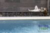 Apartamento em Feteira - Sunset Pool House T1 Apartamento em Feteira - Sunset Pool House T1