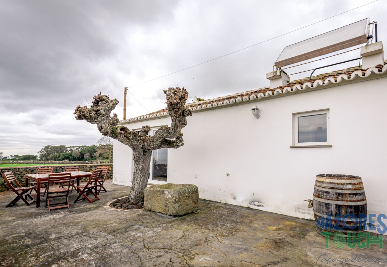 Rent by room in São Mateus da Calheta - Casa dos Calços - Anexo 1 Rent by room in São Mateus da Calheta - Casa dos Calços - Anexo 1